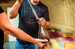 Gazaň Winery